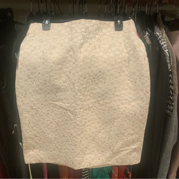 J Crew Skirt